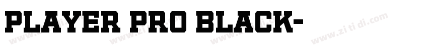 Player Pro Black字体转换